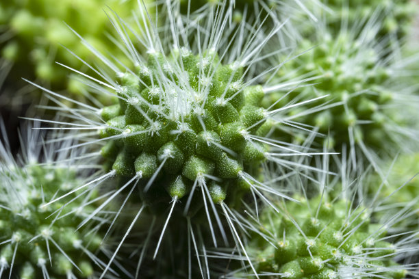 spiked