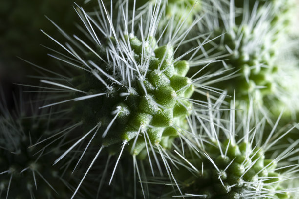 spiked
