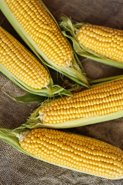 cob