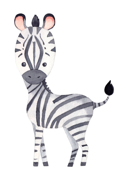 zebra