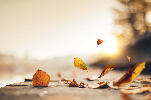 fall