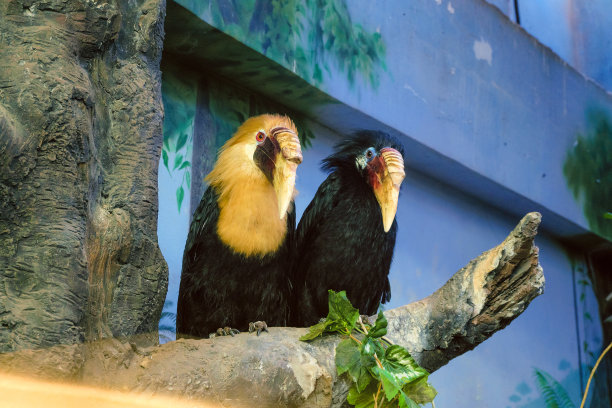 zoo
