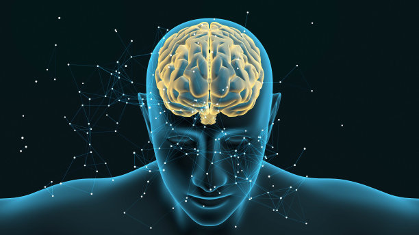 cerebrum