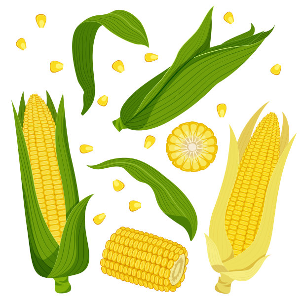 cob