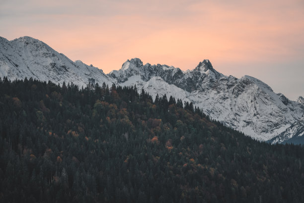 alpine