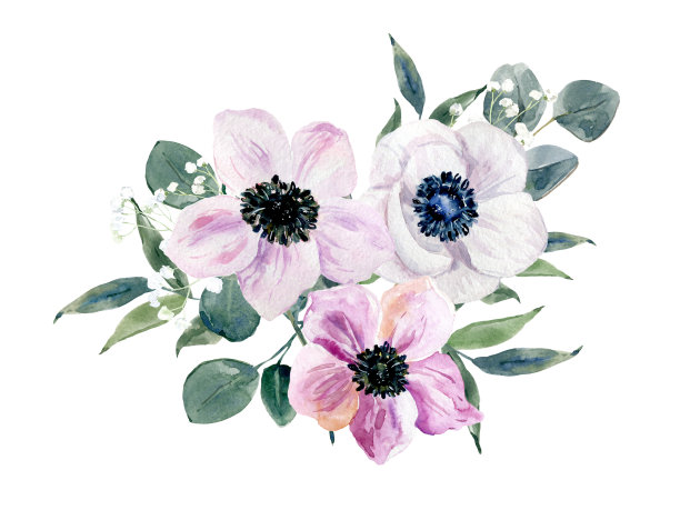 dahlia