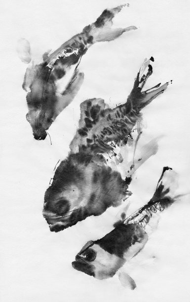 鱼类,海鱼,淡水鱼