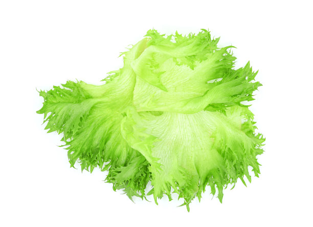 romaine