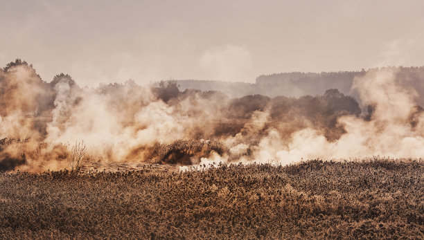 war