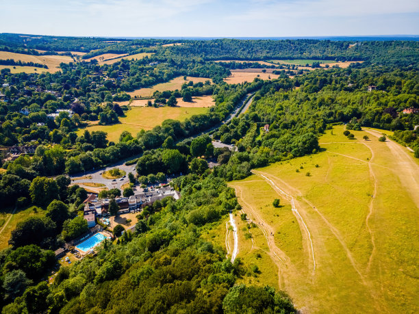 surrey