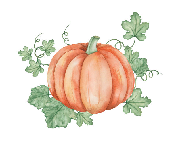 pumpkin