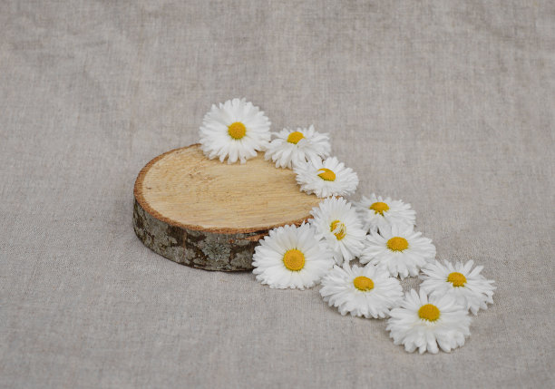 润肤霜化妆品画册