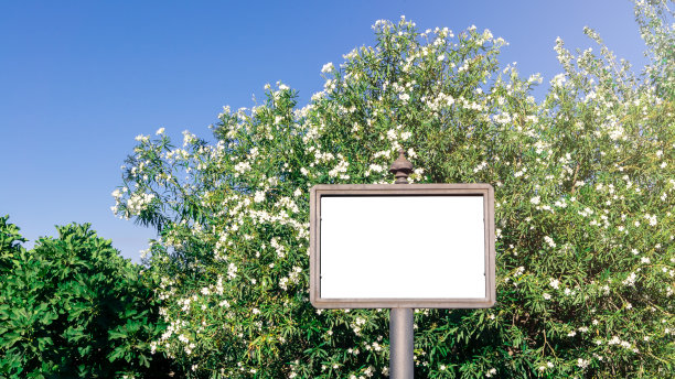 彩色活动条幅背景设计