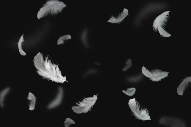 plumage