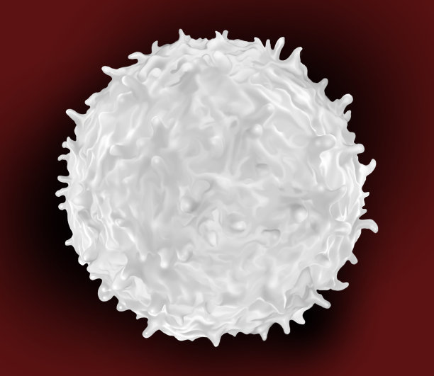 cd4