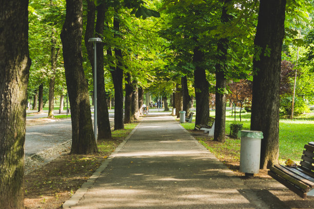 avenue