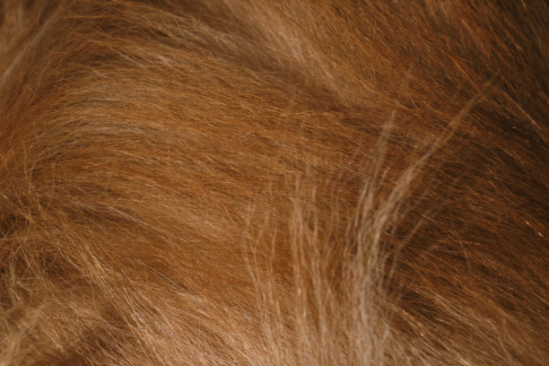 hairs