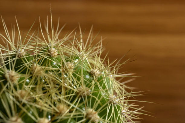 spiked