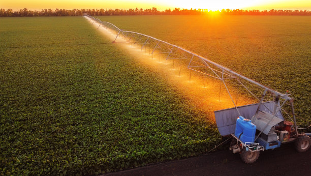 irrigation