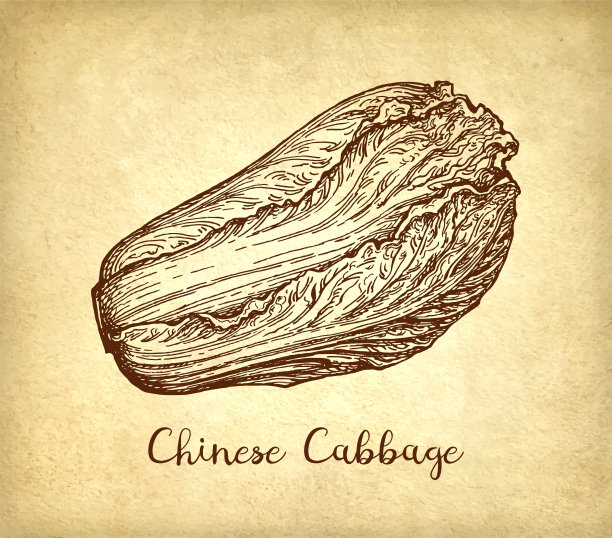凉拌卷心菜,甘蓝,白菜