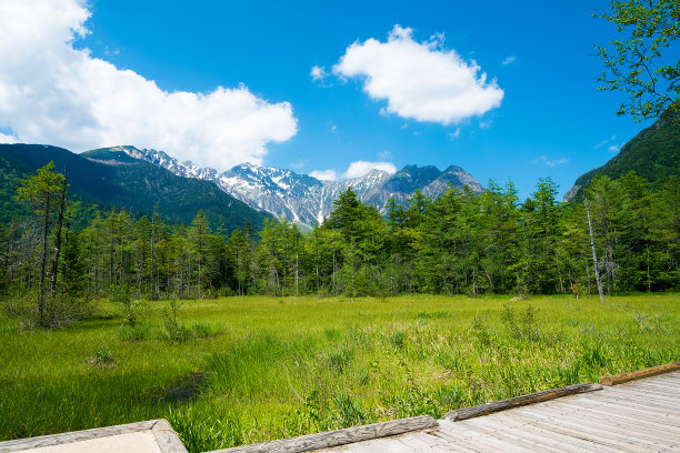 户外蓝天白云草地树林图片