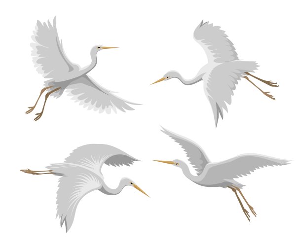egret