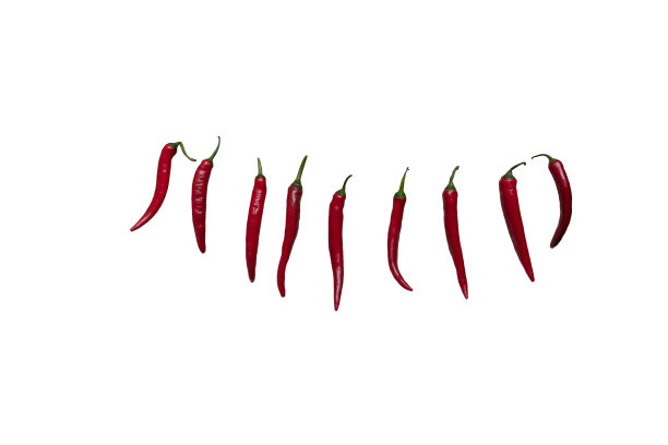 tabasco