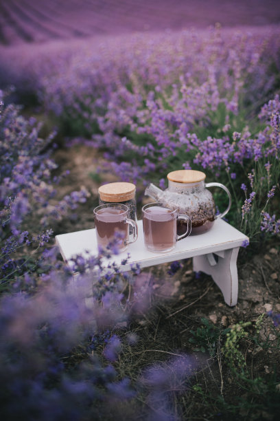 provence