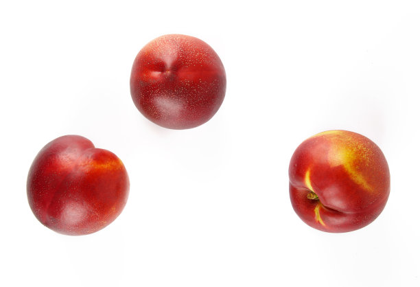 nectarines