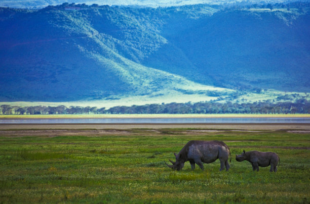 tanzania