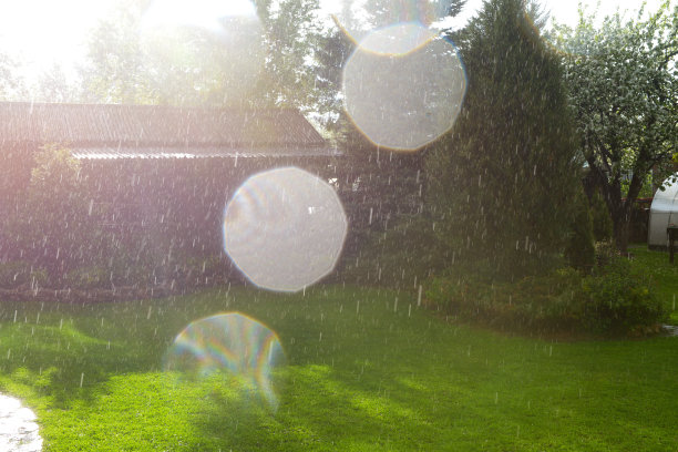 户外蓝天白云草地树林图片