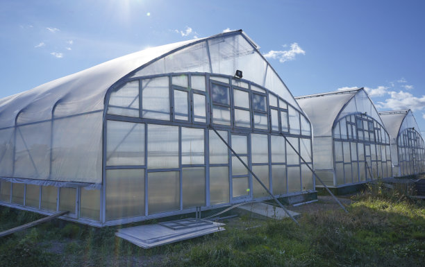 greenhouse