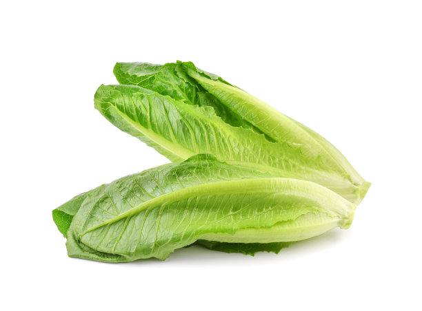 romaine