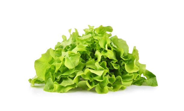 romaine