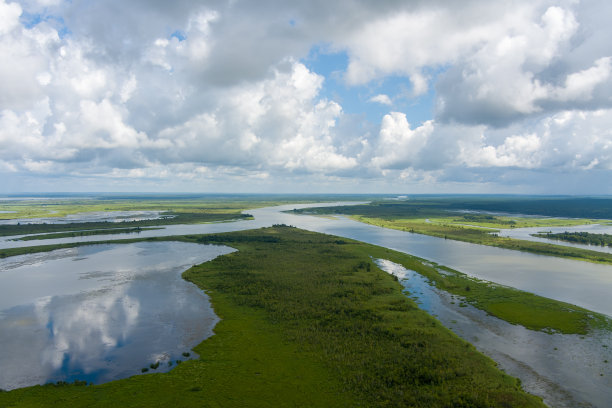 delta