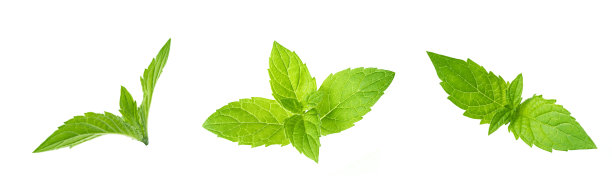 spearmint