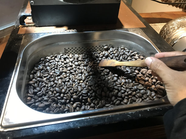 自然界的状态,背景,黑色