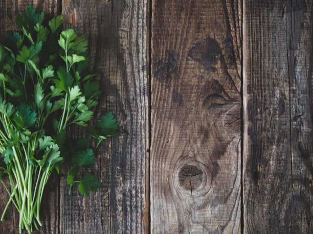 cilantro