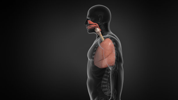 thymus
