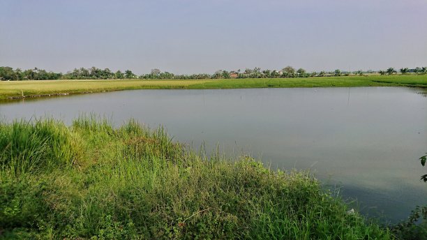 ponds
