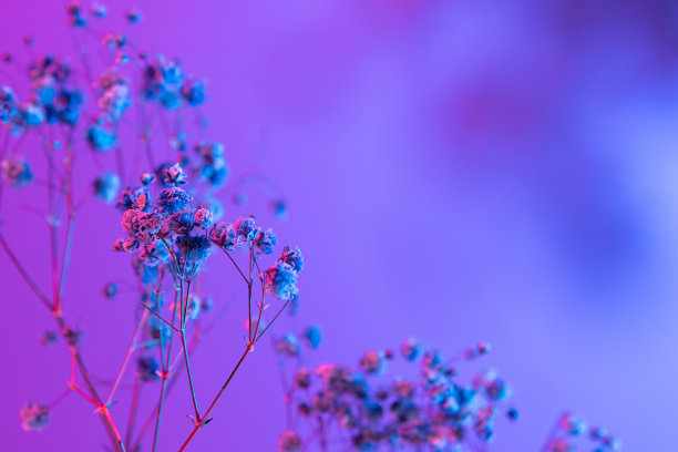 紫色渐变会议背景