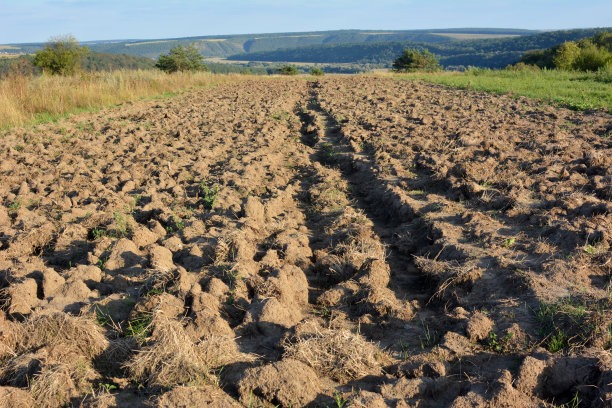 ground