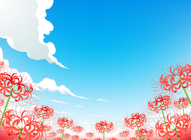 红蜘蛛百合,鲜花盛开,背景
