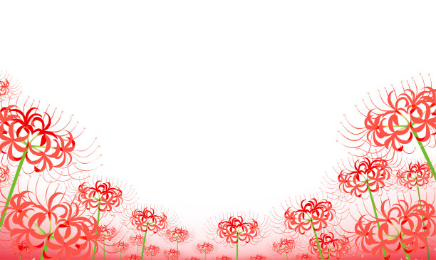 红蜘蛛百合,鲜花盛开,白色