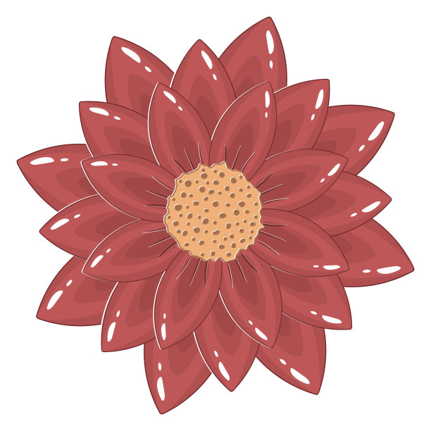 红花插图