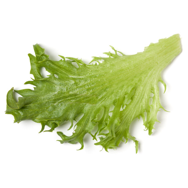 romaine