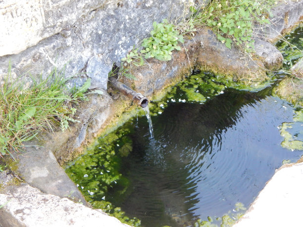 source