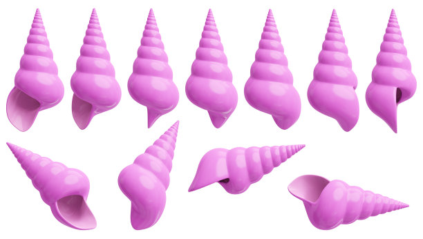 conch