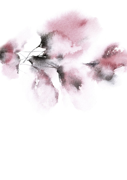 花簇,花蕾,请柬