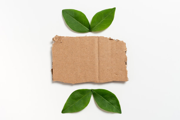 垃圾分类背景墙